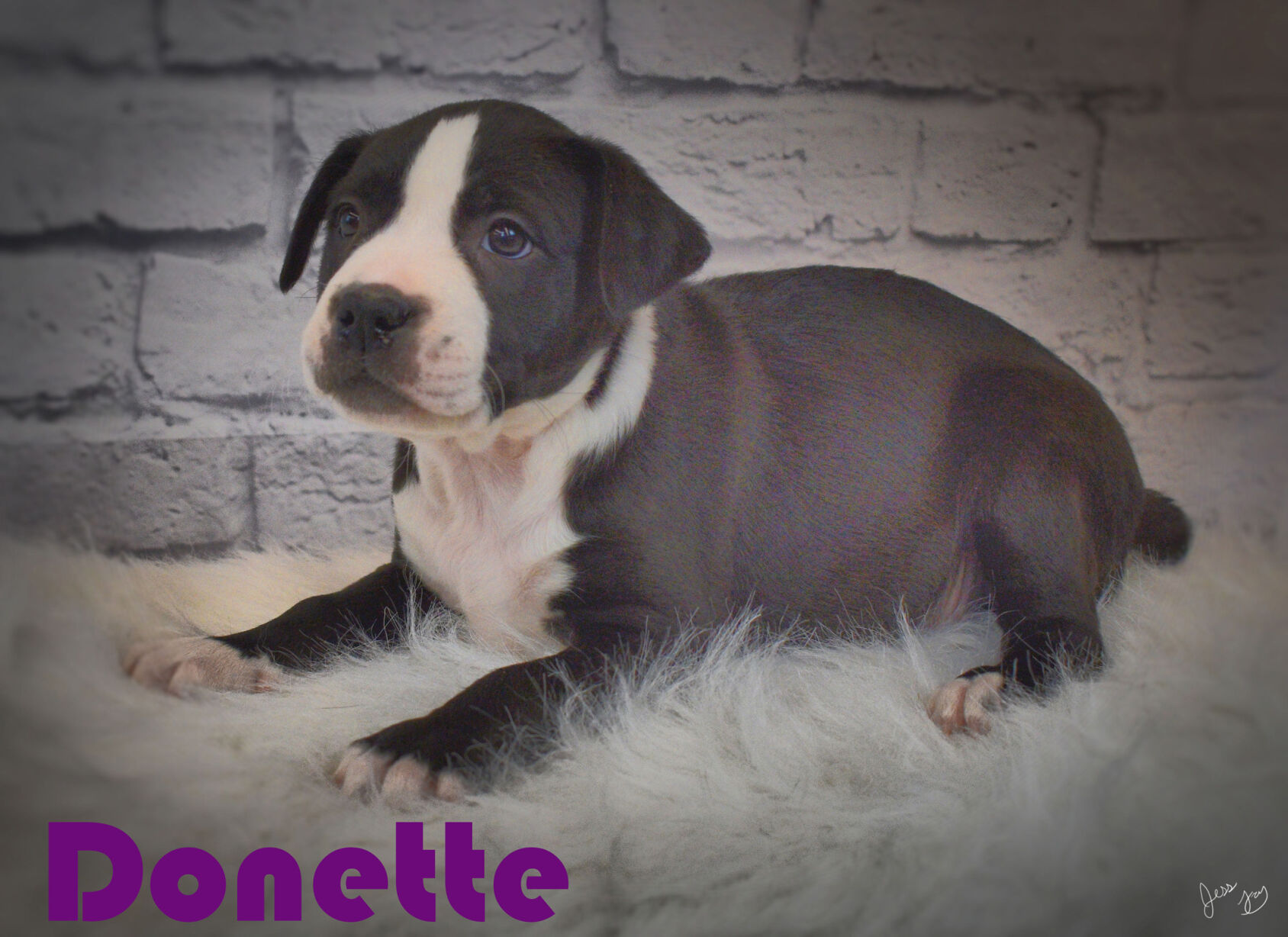 Donette